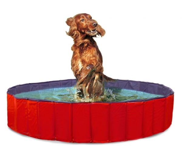 Karlie DOGGY POOL der Swimmingpool für Hunde - Rot-Blau - 160 cm – Bild 3