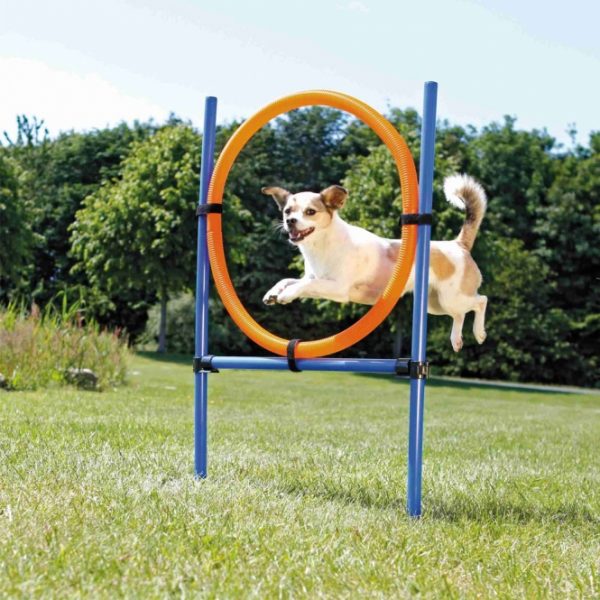 Hundespielzeug Hundespielzeug Trixie Agility Ring, stufenlos verstellbar durch Klettbänder, leicht zu fixieren, beinhaltet eine Transporttasche.