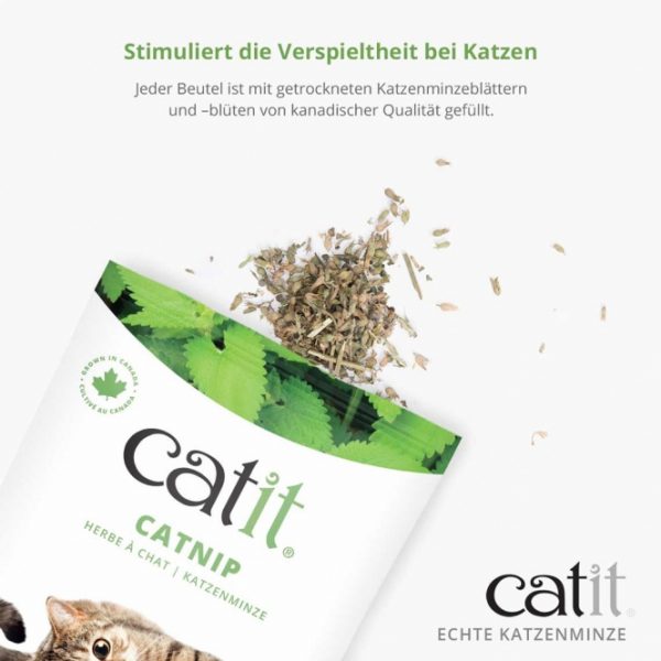 Catit Echte kanadische Katzenminze - 14g – Bild 5