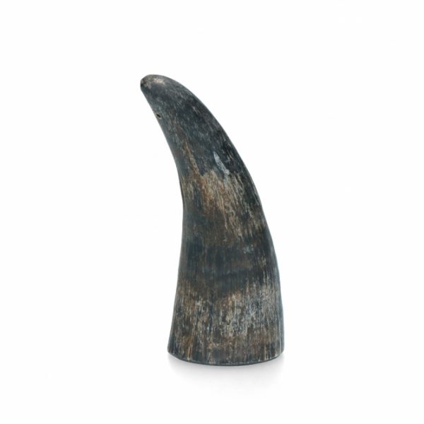 Viking Whole Horn - M