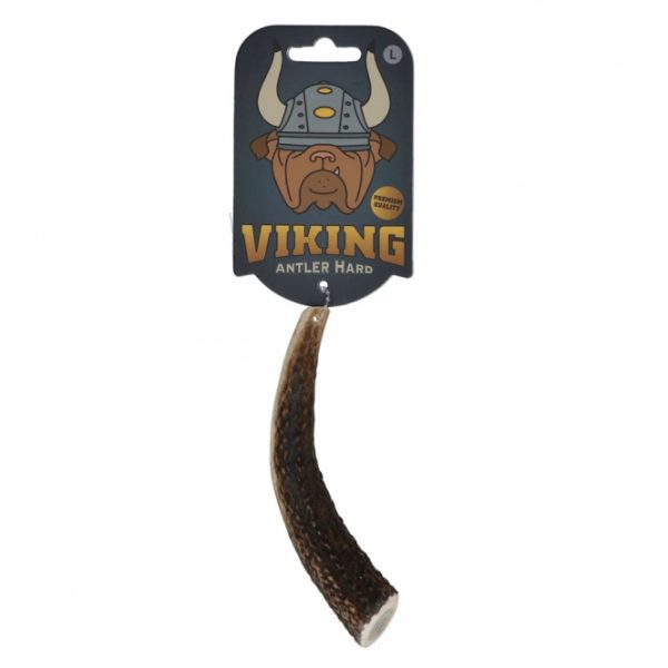 Viking Antler Hard Rothirschgeweih - XL – Bild 5